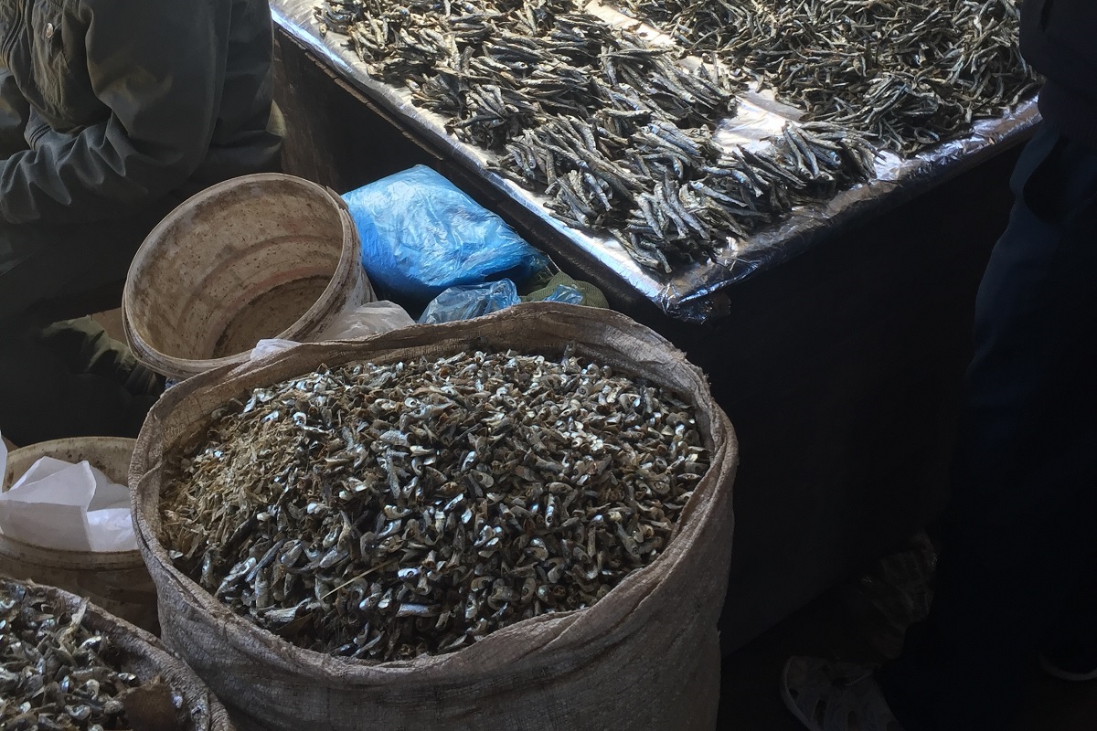 NRInstitute's tweet photo. NRI @LuanarBunda & @WorldFishCenter are working to enhance the #superfood potential of #smallpelagicfish, 1 of the best sources of micronutrients& vitamins https://t.co/EEoz1Hrpkd #African Great Lakes #fisheries #foodsystems #foodsecurity #nutrition #NRI https://t.co/tcKLpwSRFG