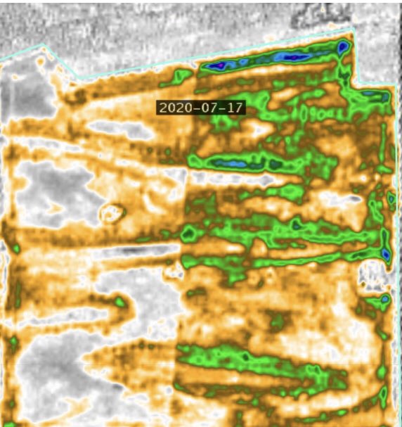 Matt Witney tweet media