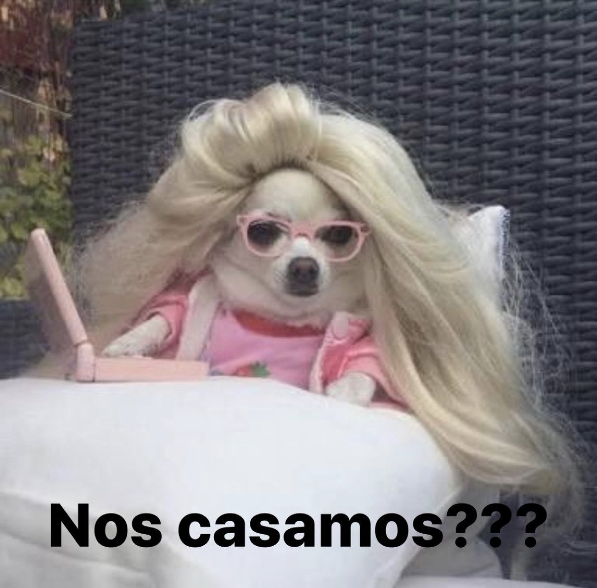 bebi_fernandez's tweet photo. *La gente que mete humor en sus propias situaciones trágicas existiendo*
Yo: https://t.co/PZnQvAyjzR