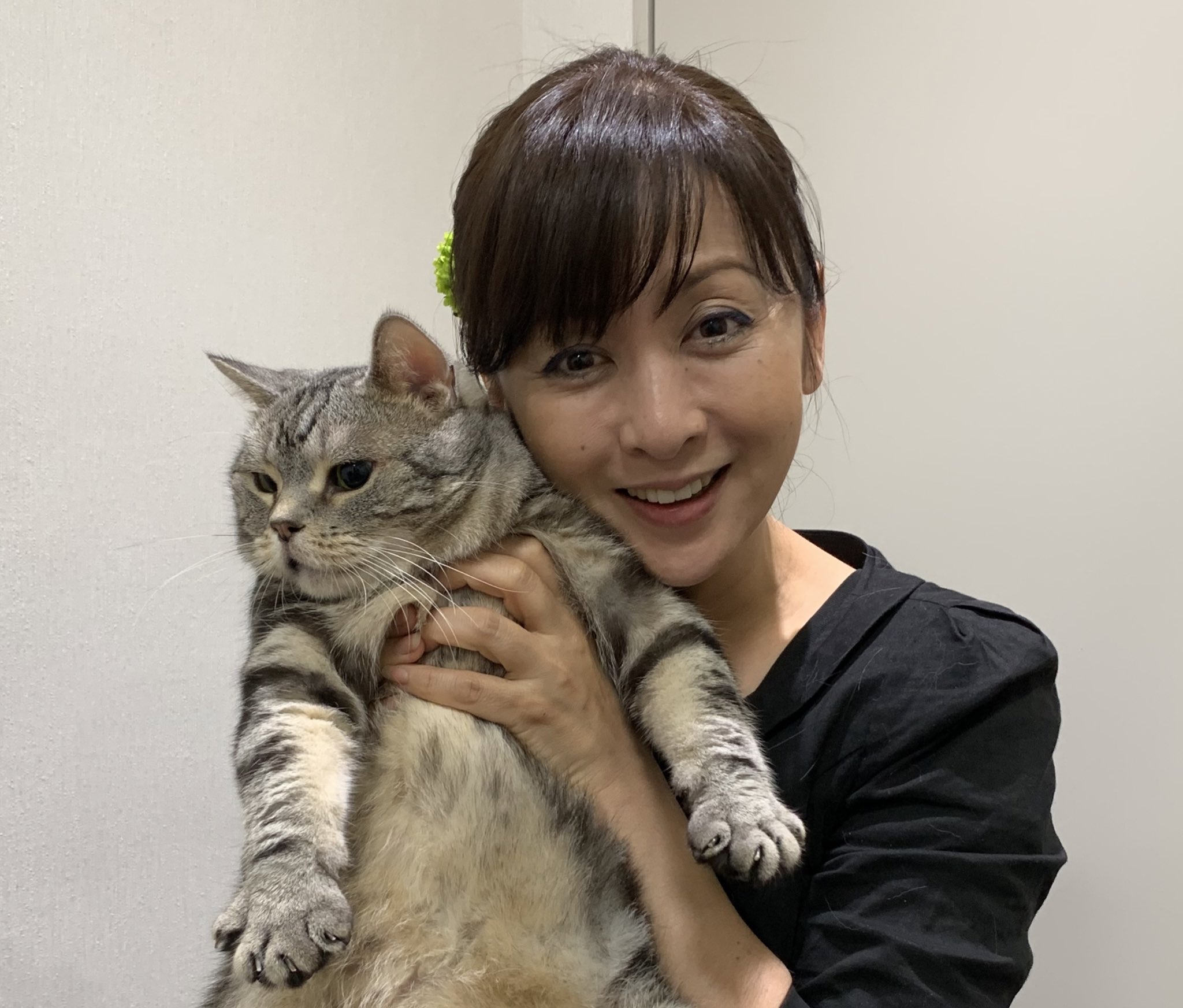警視庁 捜査一課長 シーズン5 4月8日木曜よる8時スタート 抱っこしてもらって嬉しいにゃん 今週木曜よる8時 の 捜査一課長 も 絶対にお見逃しなく である 斉藤由貴 ビビ 警視庁 捜査一課長 シーズン5 4月8日木曜よる8時スタート 抱っこしてもらって嬉しいにゃん 今週木曜よる8時 の 捜査一課長 も 絶対にお見逃しなく である 斉藤由貴 ビビ