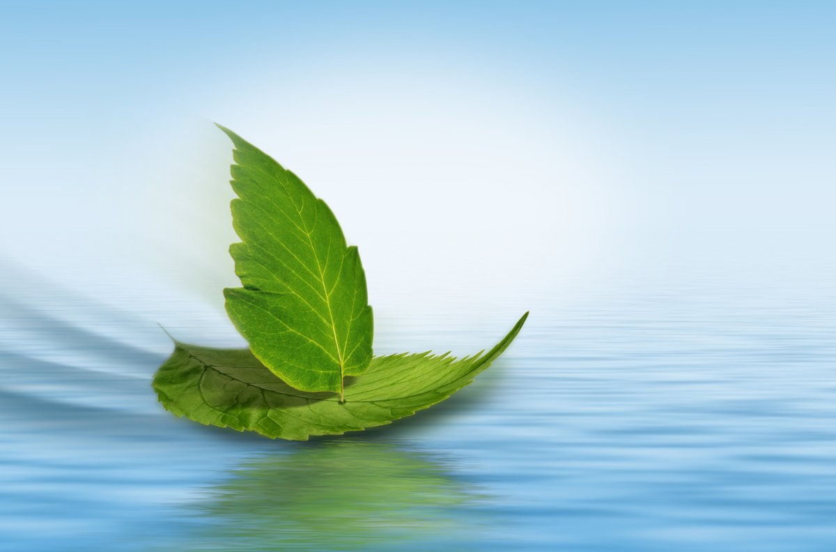 Längtar du efter politiska diskussioner om #sjöfart? Missa inte Blå Tillväxts sjöfartspolitiska webinar den 31 augusti om hur vi skapar en #hållbar återstart! Läs mer och anmäl dig här: sweship.se/event/bla-till… #transport #jobb #klimat #miljö #corona #covid19