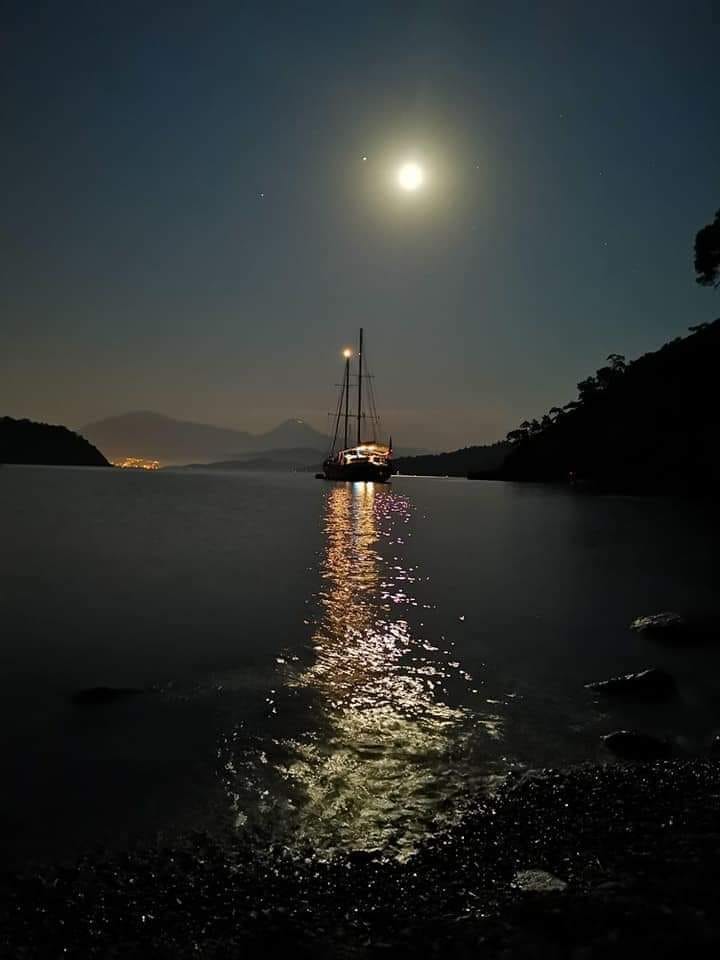 SteelbirdGocek's tweet photo. #marvellous #sailing with #Steelbird out of #Gocek #Fethiye - #bareboat or #skippered charters - on #superbly maintained and #thoughtfully presented #yachts - totally #stressfree, we take great care of everything and you, of course! - ask for a quote😎⚓️🇹🇷 https://t.co/bMaTYENP7H