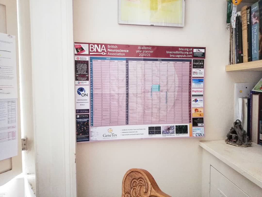 BritishNeuro's tweet photo. Our #WFHbutNotAlone office is now COMPLETE! Excited to receive 1st ever BNA academic wall planner in this issue of the Bulletin! 😊😊
. 
Have you got yours yet? 
.
Shout out to @genetexinc
@PPPublishing @OxNeuro @CellSignal &amp; our other friends &amp; supporters 😊 https://t.co/Rn000T9Mgc