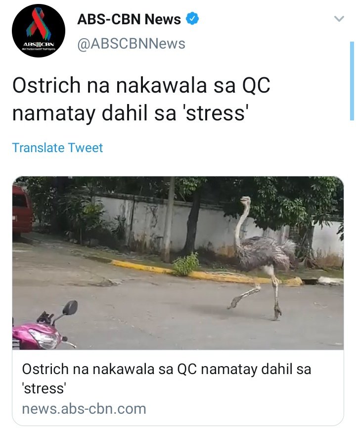 kuringlang's tweet photo. a three part story π #ripostrich https://t.co/bFddC0L4WY
