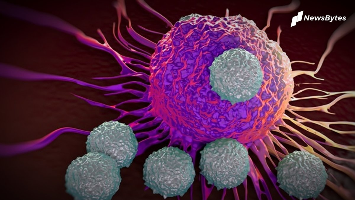 Antibody surveys conducted so far may have found the presence of antibodies against SARS-CoV-2 in a significant portion of the population, but the number declines over timeInterestingly, these surveys have not accounted for the T cell immunity response