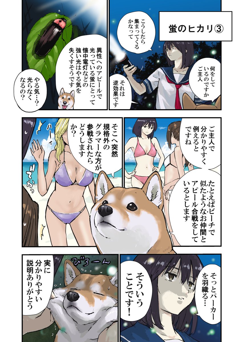 蛍のヒカリの話
世界の終わりに柴犬と 