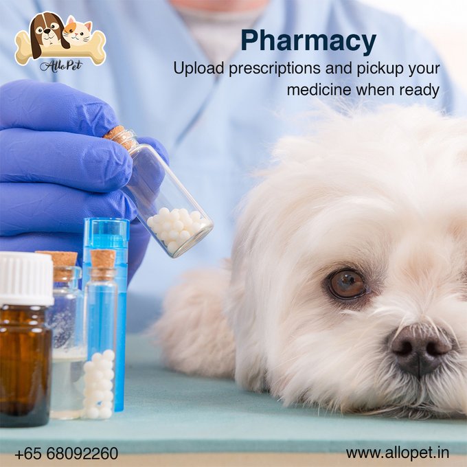 Buy #petmedicines from your nearest pharmacy in just a single click. Click photo of your prescription and upload to the nearest pharmacy and pick your medicine when ready.

For more Details reach us +65 68092260

#PetCare #Pets #PetPharmacy #Pharmacy