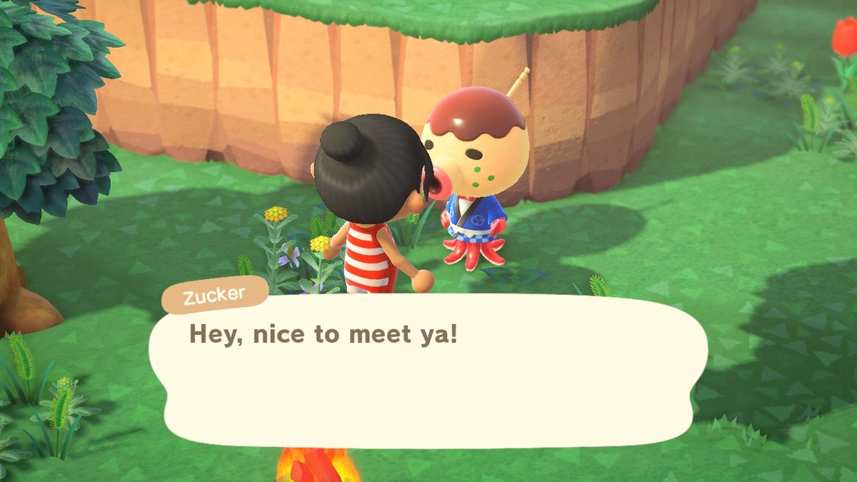 AcnhFa's tweet photo. went island hoping yesterday, and saw Zucker twice !! today he's at my camping omg leave me alone #AnimalCrossing #ACNH #NintendoSwitch https://t.co/dH5NP3lIrJ