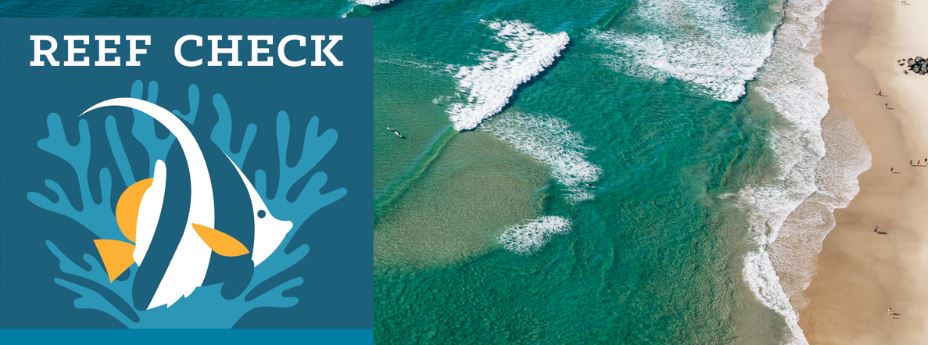 Aus_ScienceWeek's tweet photo. Did you know that the #GoldCoast has reefs right off the coastline? Join @ReefCheckAus to get the lowdown as part of Gold Coast Libraries #ScienceoftheSea Program this Saturday from 12-1pm! #scienceweek https://t.co/3dMl3vLcDl https://t.co/82yCPSEkgD