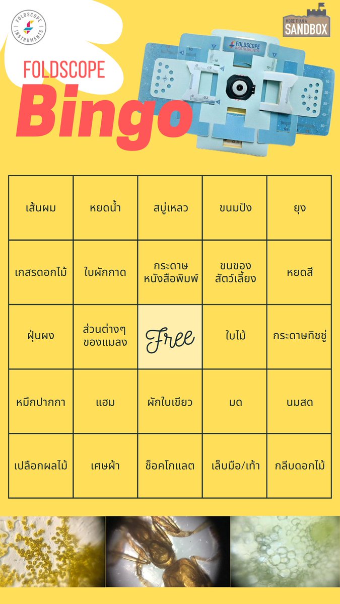 FoldscopeT's tweet photo. ใครมองหาไอเดียนำวัตถุใกล้ตัวในบ้านมาส่องด้วย #foldscope #กล้องจุลทรรศน์ กำลังขยาย 140X วันนี้ชวนมาลอง เล่น Foldscope Bingo กันค่ะ ส่องแล้วเป็นยังไงกันบ้าง ส่งรูปมาให้ดูกันได้นะคะ https://t.co/9lvIDLgQNx