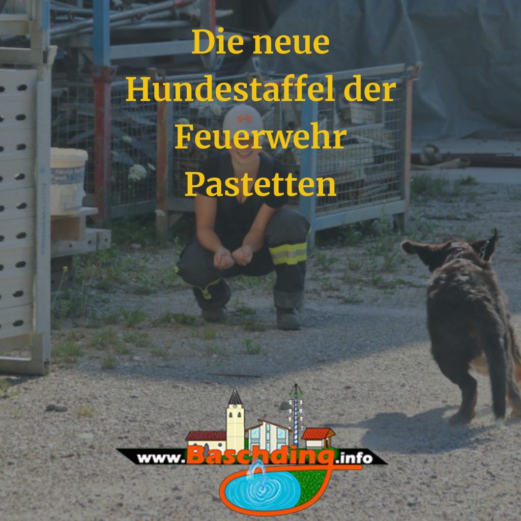 baschding's tweet photo. Die neue Hunde Staffel der @FF_Pastetten

https://t.co/LQy4s8SCvK

 #pastetten #baschding #hibdestaffel #feuerwehr https://t.co/DkSCwgOLv8