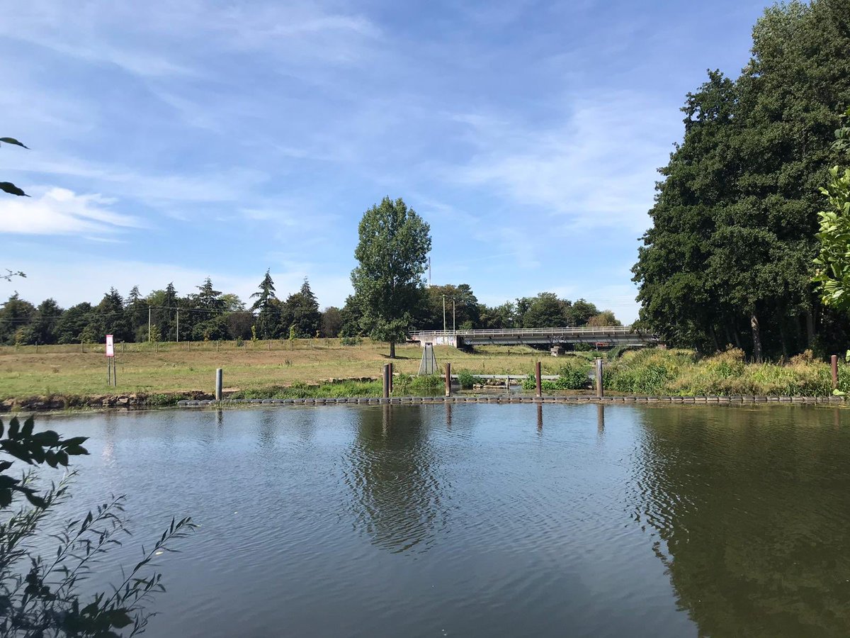 Altijd al 2 km. willen zwemmen 🏊‍♀️? Grijp je kans en schrijf je nu in voor de Roermond City Swim! Dit jaar hebben hebben we een prachtig parcours. Naast de 2 km. hebben we ook de afstand van 750 meter. Schrijf je in www. roermondcityswim.nl
