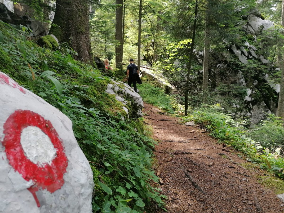 Bez straha da ćete se izgubiti, dođite na 102.5 u 13h jer u Katedri upoznajemo <a href="/HrvatskaGSS/">Hrvatska GSS</a> 😎 🏞️

#yammatfm #hgss