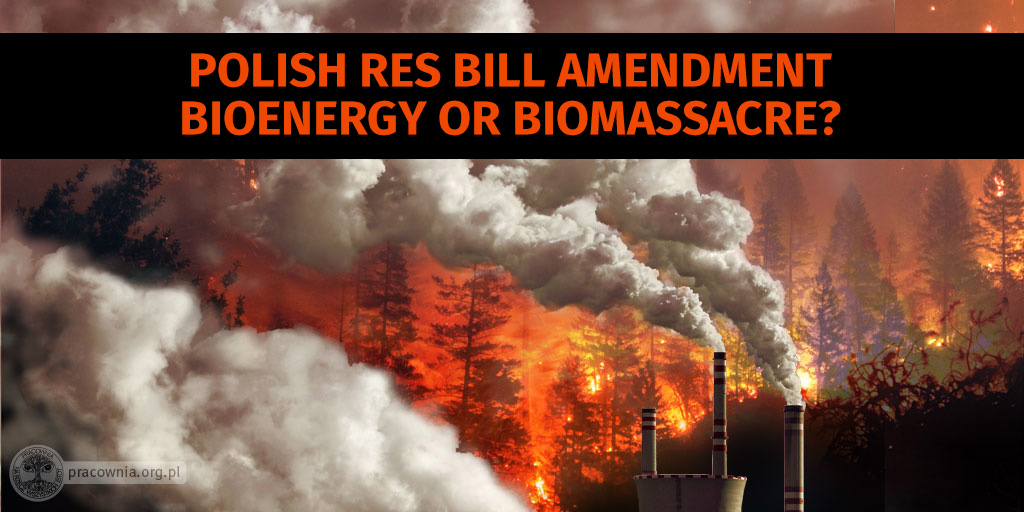 PracowniaBystra's tweet photo. Biomass or #biomassacre? Polish NGOs calling on @TimmermansEU & @EU_Commission for urgent intervention re notification 2020/337/PL of a disastrous amendment to 🇵🇱 RES bill. Prevent mass destruction of Polish forests disguised as climate action‼️ 🌳🔥🏭 https://t.co/gHhxiQvbD9 https://t.co/mo4OV8sTN4