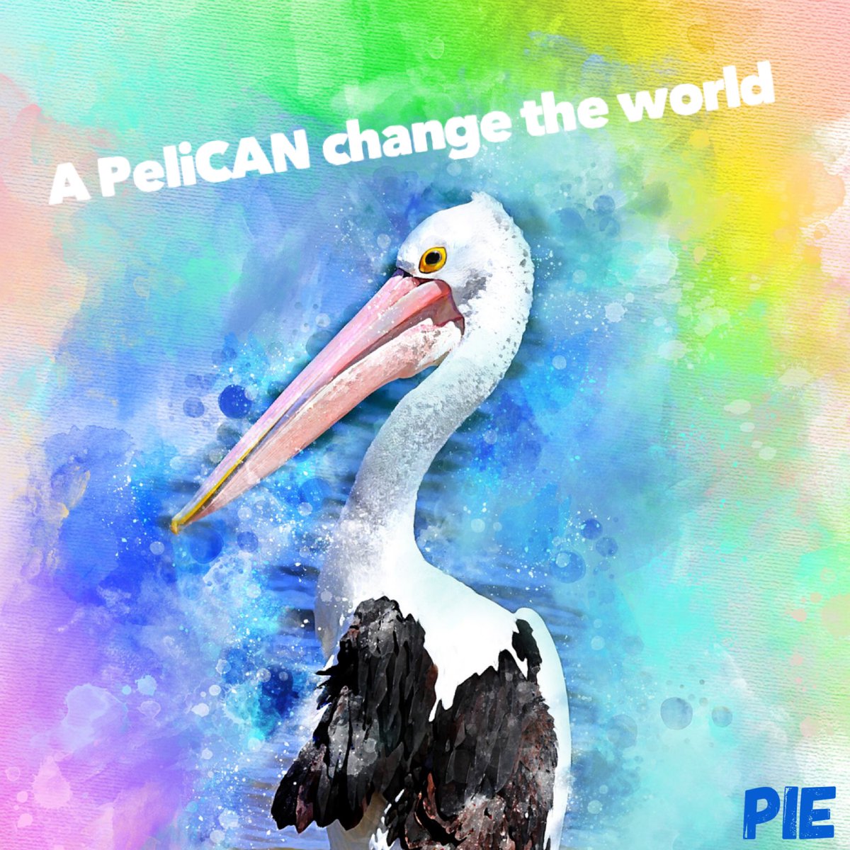 Week 2 is going to be epic. Our teachers and staff are peliCANs. We will change the world!#WatchUsGrow