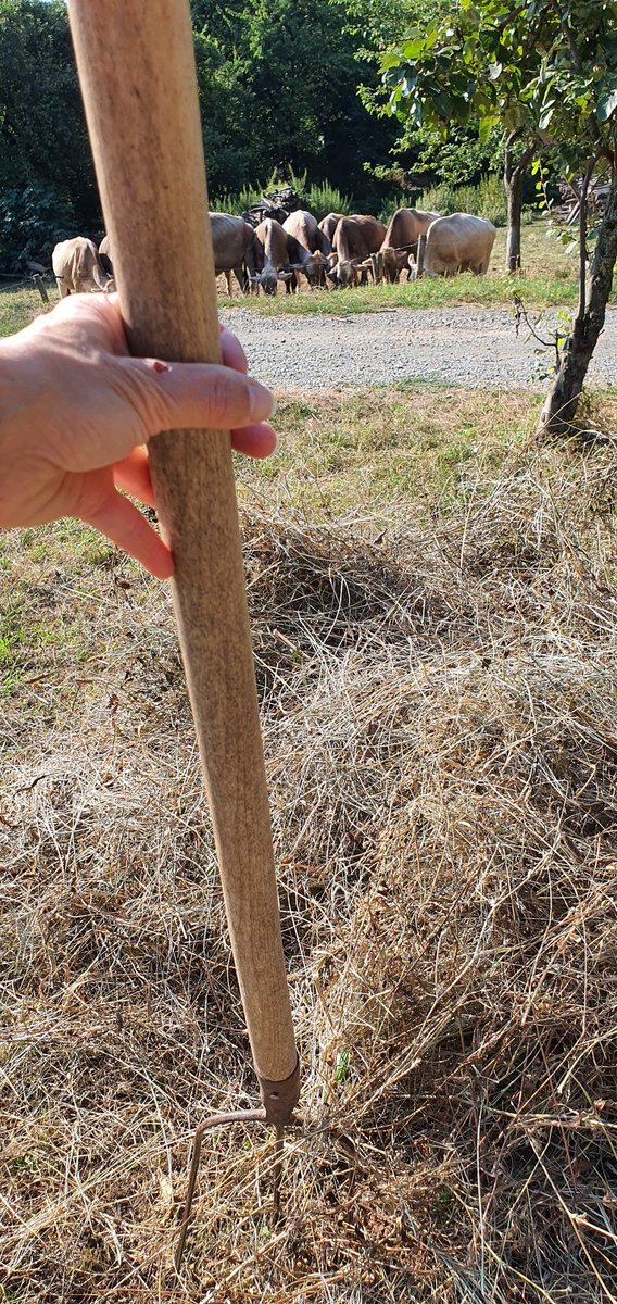 Oggi inizia la settimana di Ferragosto! Che bello, tutti al mare. Già.....
#perchenoncesoloilmare <a href="/CCIAARIVLIG/">CCIAA RIVLIG</a> <a href="/GenovaTour/">Genovatour</a> <a href="/igersgenova/">Instagramers Genova</a> <a href="/genovatoday/">Genova Today</a> @TurismoLiguria <a href="/ParcoBeigua/">Parco Beigua UNESCO Geopark</a> <a href="/Italia/">Italia.it</a> <a href="/Genova4Tourist/">Genova4Tourist</a> <a href="/LiguriaPiemonte/">Tra Liguria e Piemonte</a> <a href="/ig_liguria/">IG Liguria</a> <a href="/iParchiLiguria/">Parchi della Liguria</a>