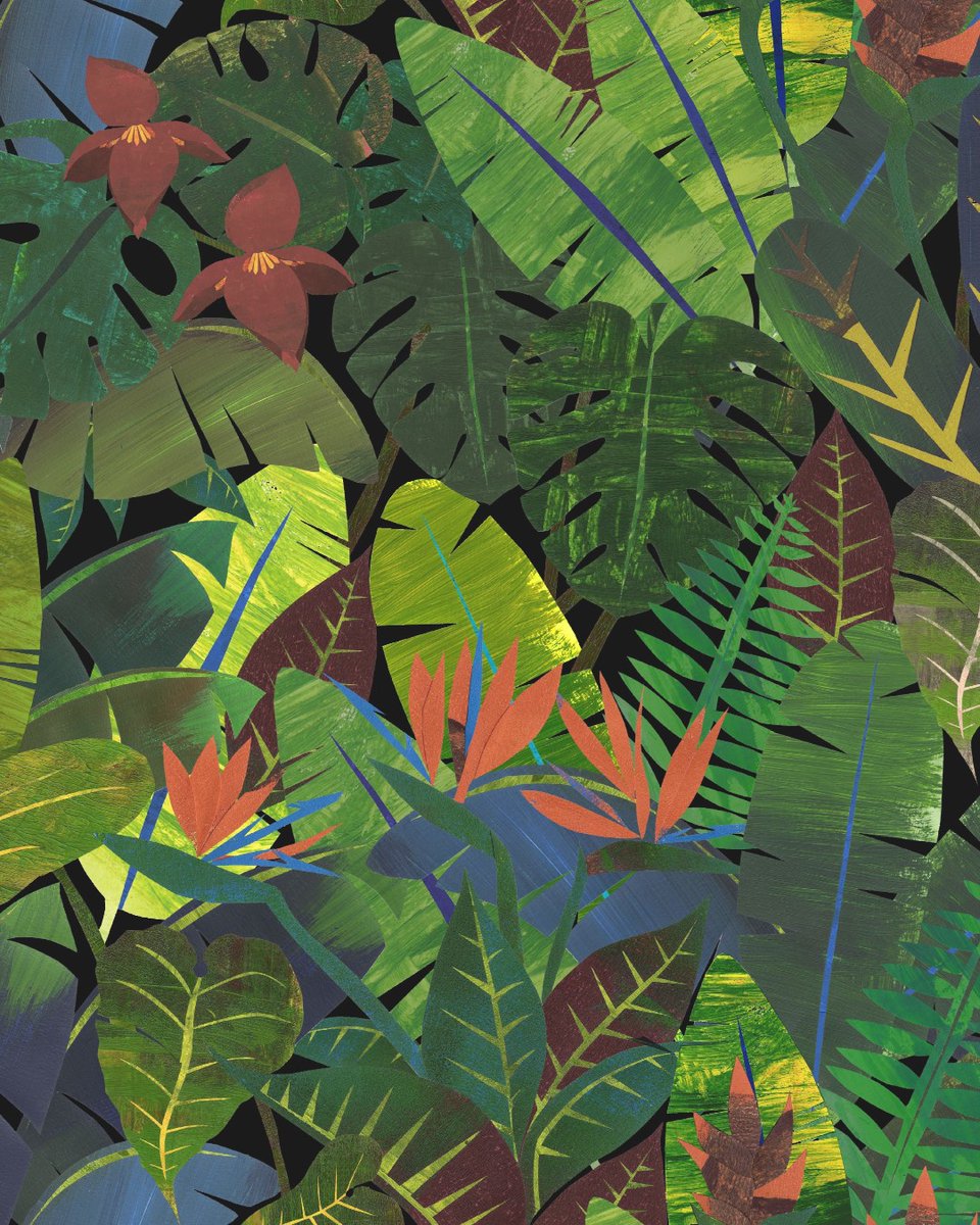 A little bit of breeze in the heat – our AMAZONIA #wallcovering. The decorative thicket of tropical leaves, including the trendy monstera, will delight all fans of tropical motifs🌴🌱🦎 Expressive, durable colours plus top quality. It’s a must-have!
#muraspec #fardis #wallpapers