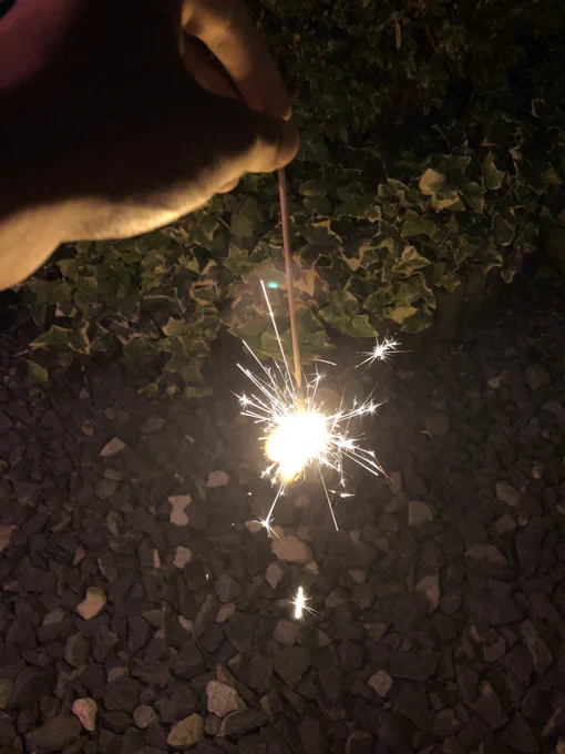 兄弟といとこのちびっこたちと花火( ¨̮ )? 
