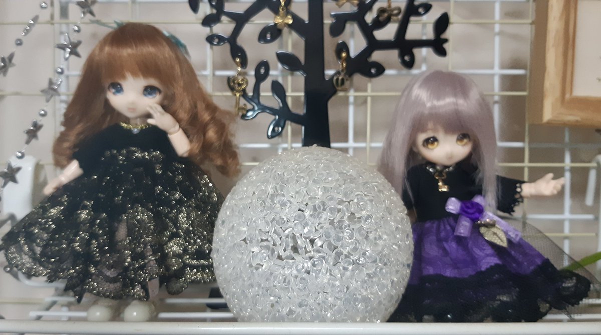 Junnozk's tweet photo. 久々のうちの子集合(#^.^#)更新

3年前は一人だったのに…w
(^o^;) https://t.co/CwmWEQCf5c