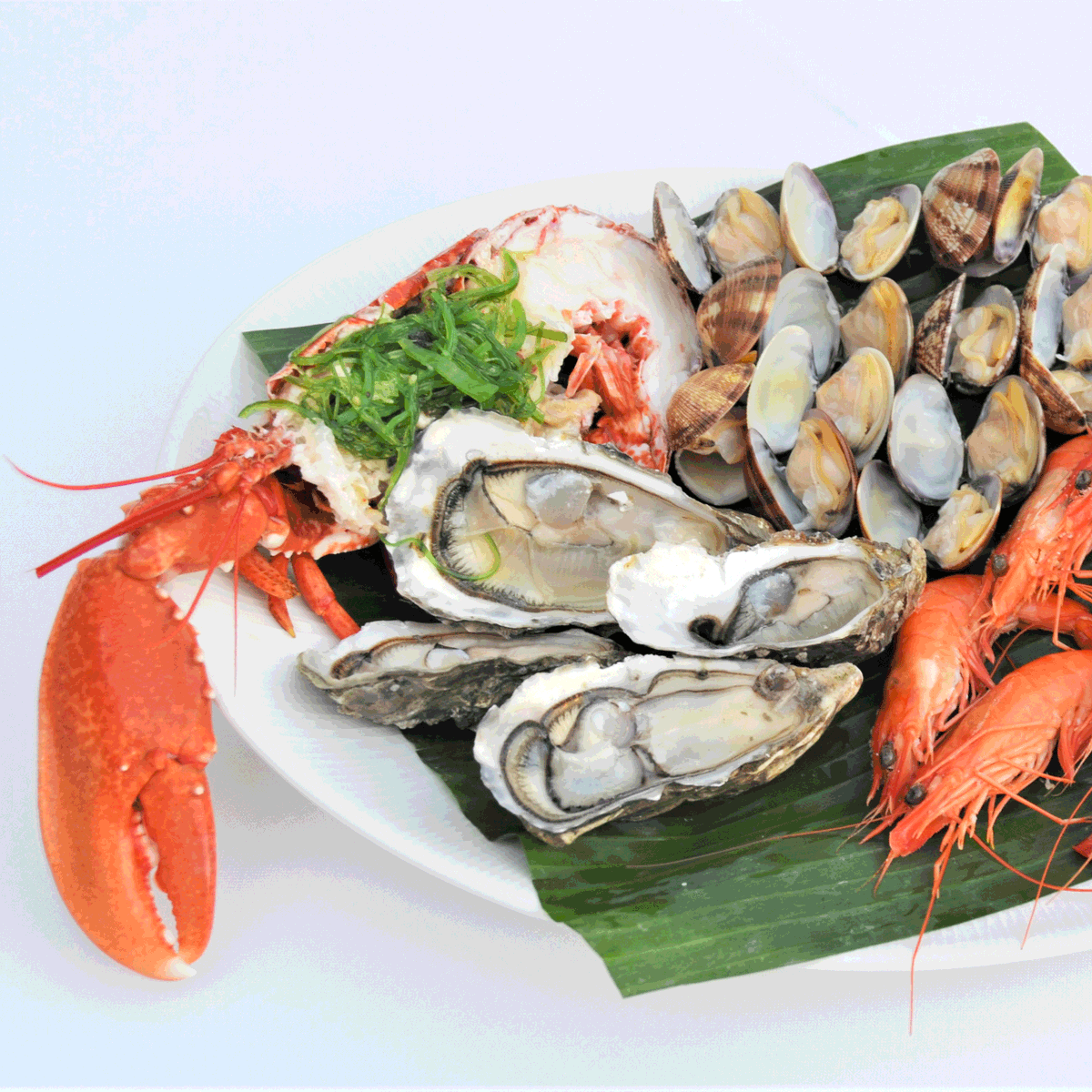 És dimecres i el cos et demana #Terraza! Reserva la teva taula per la propera nit del #Marics del 12 d’agost i acompanya el teu sopar amb el celler Masia Serra de l’#Empordà ! 
hotelterraza.com
#marisc #hotel #CostaBrava #Empordà #Roses #turisme