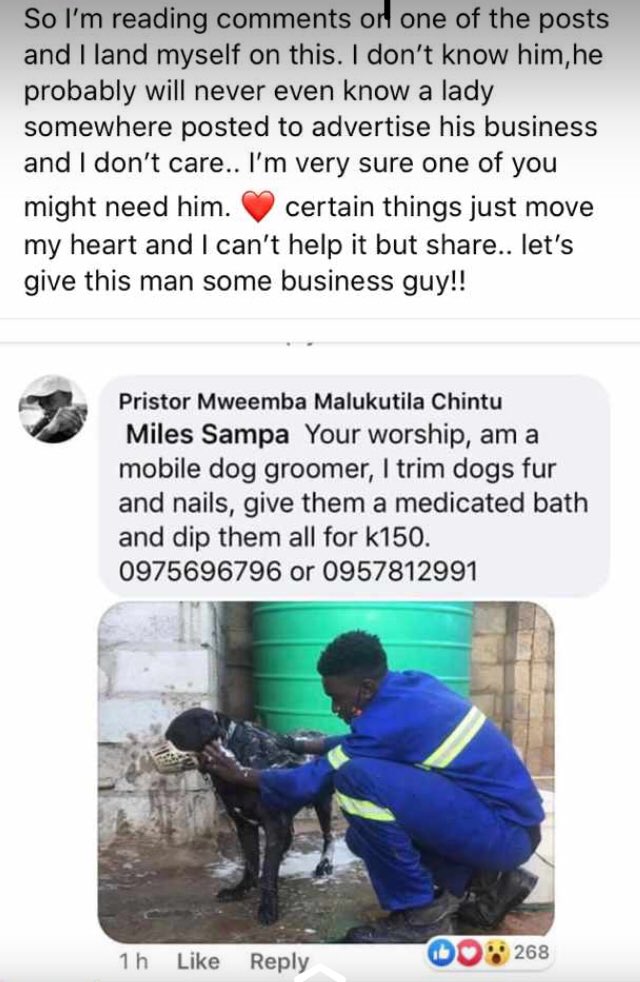 Twizajojo1's tweet photo. Survival skills  , Effort is attractive  if you haven’t seen this post yet let’s Make him famous and help him grow his business By Rt and because a little kindness goes a long way 😊 https://t.co/eazoAwPMjO