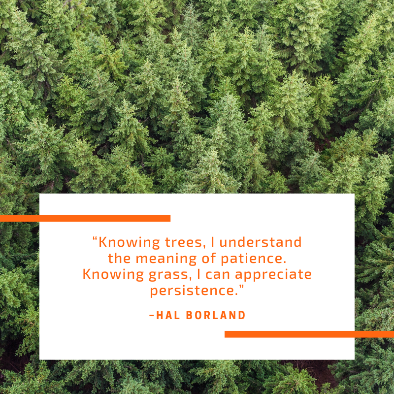 Strive for patience and persistence this week. #MotivationMonday