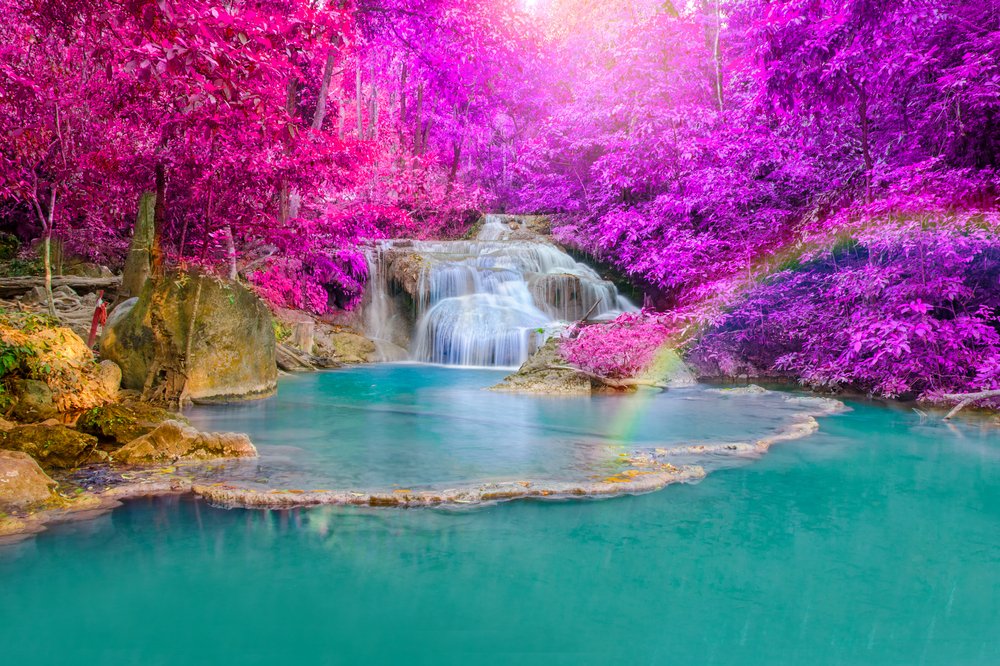 TherapyGuild's tweet photo. Half price silver membership for the first year in the International Guild of Complementary Therapists. Join in the conversation, meet fellow therapists. Advertise your #holistic business. Advertise your courses. #IGCT #HolisticHealth #Healer #lightworker https://t.co/SCOU2obgOz
