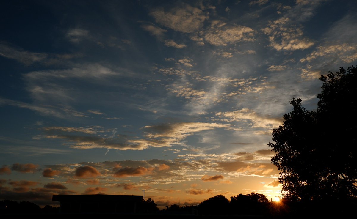 1sh1ob1on7's tweet photo. 今日の夕焼け。
すごく綺麗だったからカメラで撮ってみました。
下手ですけど見てくれたら嬉しいです。

#カメラ初心者 
#綺麗 https://t.co/PLn6cucRgn