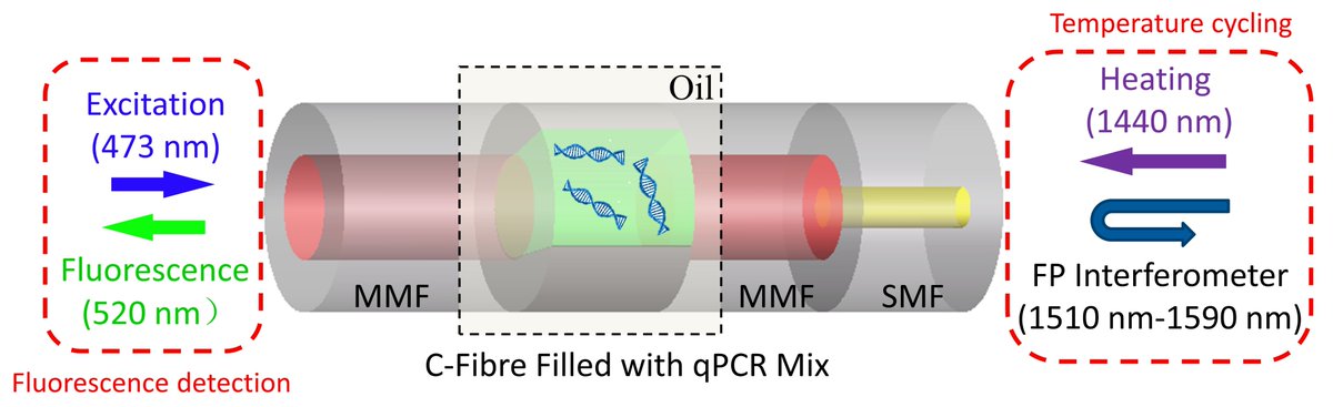 Stephen C. Warren-Smith tweet media