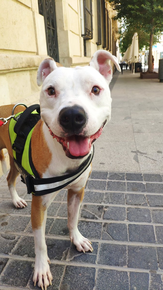 mariarr8's tweet photo. Quiero empapelar mi casa con fotos de mis hijos que son PRECIOSOS AAAAHHHH https://t.co/KmrQeww7hT