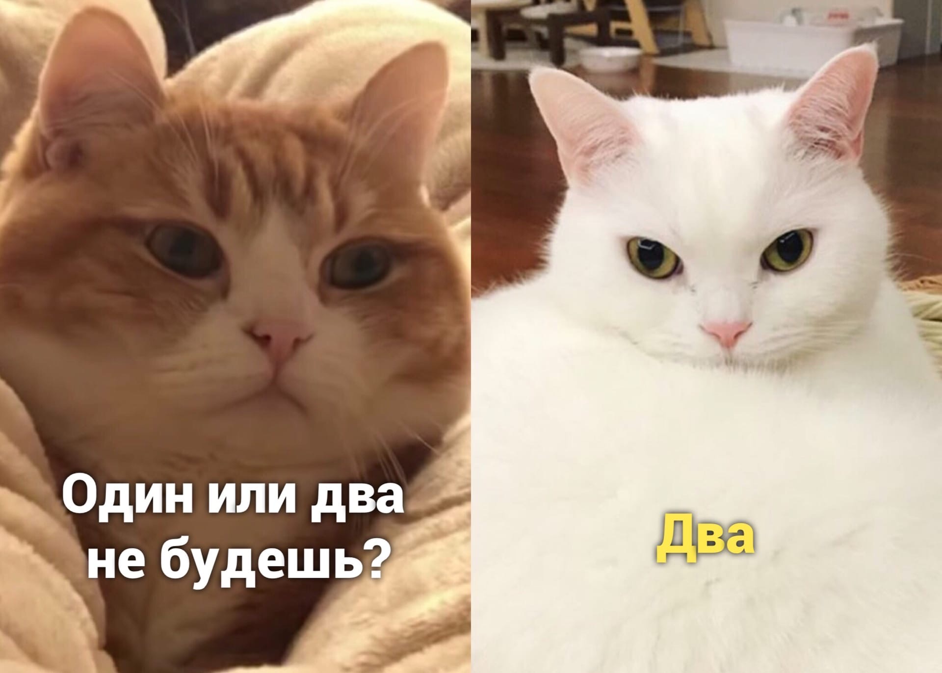 Ты не будешь один чебурек или два