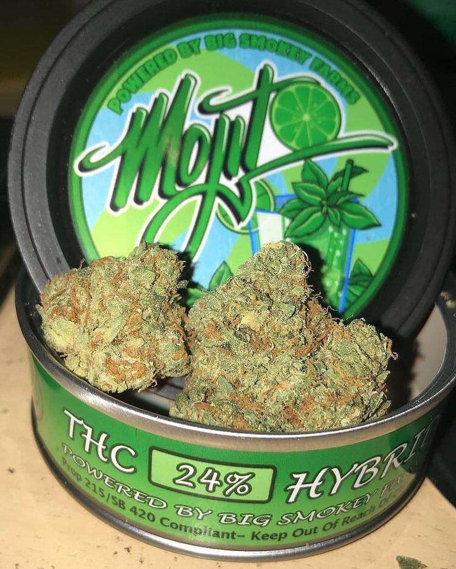 MileHooks's tweet photo. Commande ton herbe en toute discrétion via 
Snapp//michealdoan2020

#FranceVerte 
#StopProhibition 
#MICannabis
#Franceverte
#Weedfrance 
#Smookers 
#girlssmooking
#paris16
#paris91
#paris23
#Strasbourg 
#Monaco 
#Gangsters 
#Weed420 
#Weedporn https://t.co/uGNS6EzVDQ