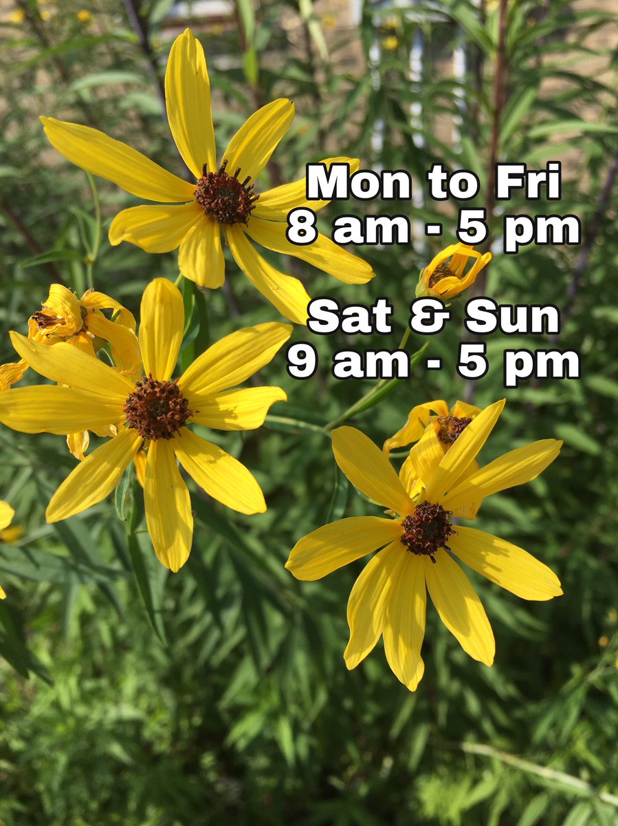 New weekday hours! Starting today, the cafe will open at 8 am on weekdays. ☀️☕️