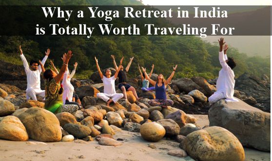 YogaRetreatpro's tweet photo. Ready to book a #yoga vacation? We have listed some of the best #reasons why you must plan your 
#transformational journey in India.
Click to know more: https://t.co/kbnyzqsRCi

#yogagirl #yogapant #yoga #HealthyFaith #wellness #Wellbeing #meditation https://t.co/DmYEF6CQu2
