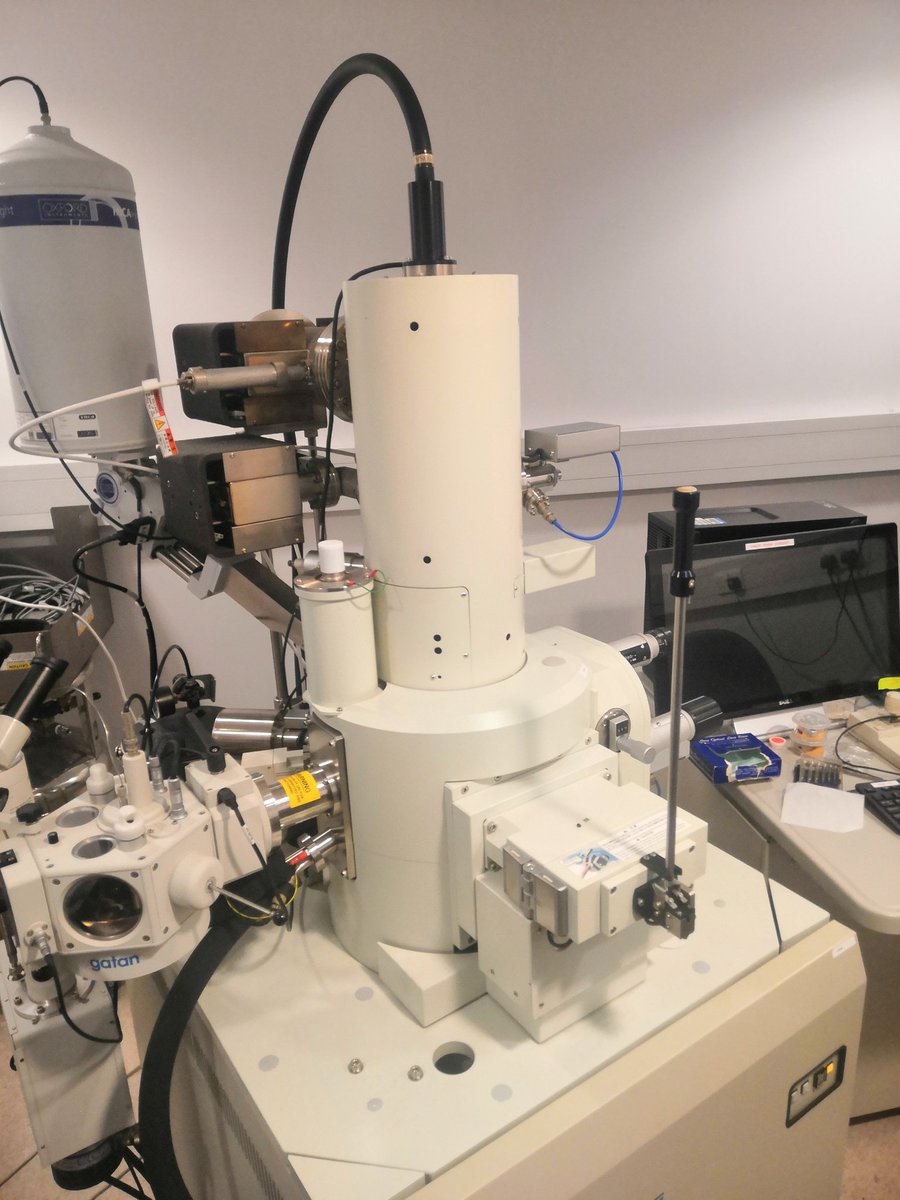 AnwenBullen's tweet image. Hi honey I'm home! #backinthelab