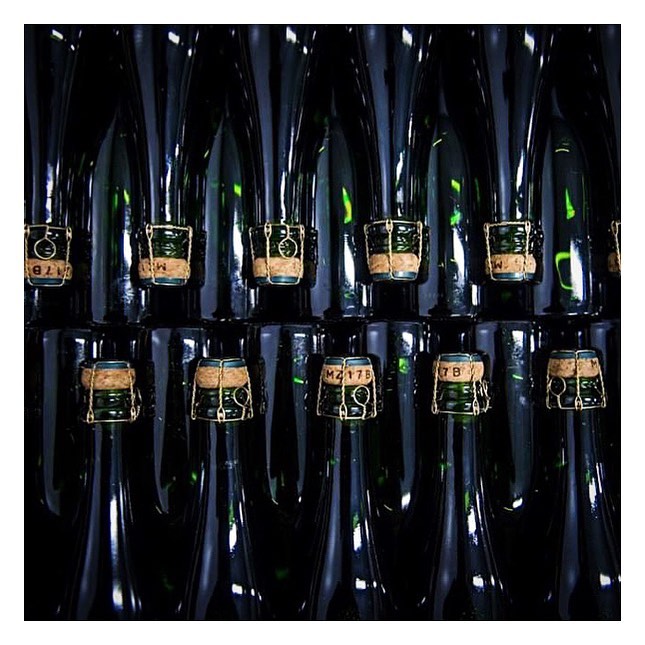 ChpBeerens's tweet photo. En cette période de canicule, profitez de la fraîcheur de nos caves et de la dégustation de nos #Champagnes pour vous rafraîchir 🥂⁣
#champagne #champagnebeerens #oenotourisme #winetourisme #CoteDesBar #ChampagneTasting #tasting ⁣
#terravitis #vignes #vineyard #champagnemoments https://t.co/utNGC4BVEE