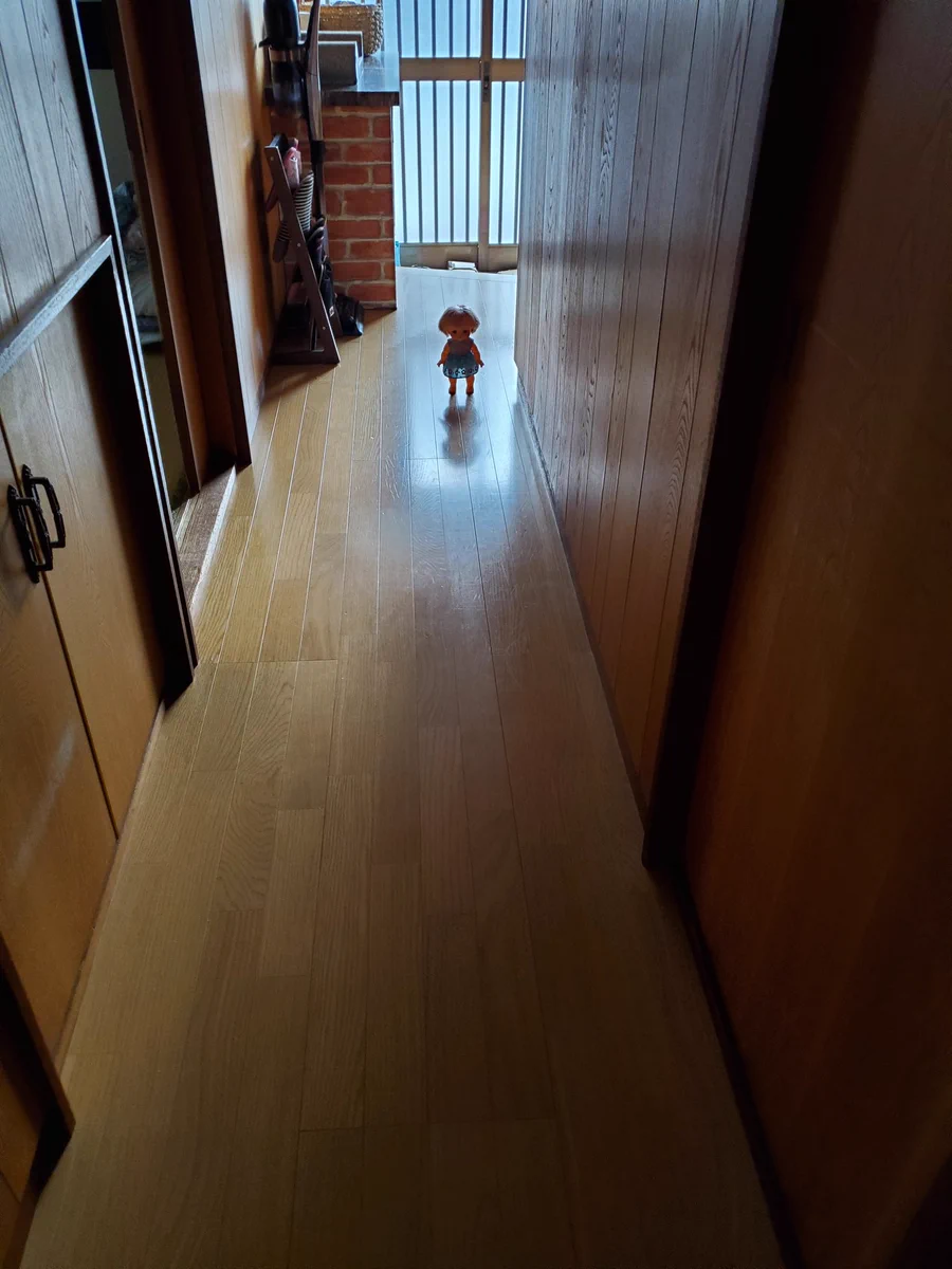 こんな状況に遭遇したら絶叫不可避？www廊下に佇む不気味な影www