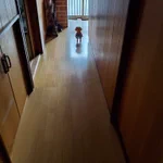 こんな状況に遭遇したら絶叫不可避？!廊下に佇む不気味な影!