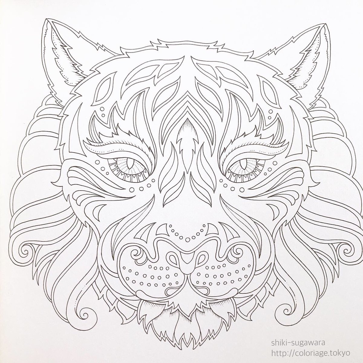 菅原志希 コロリアーティスト Coloriartist Twitter