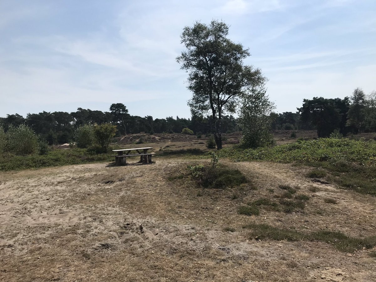 Wegenwacht9128's tweet photo. Op zoek naar een 🚲 ergens hier in het bos 4x4 aan en gaan @ANWB https://t.co/LqSBiMXeLV