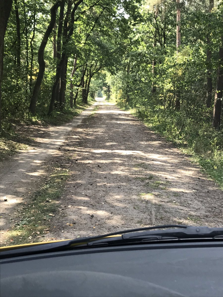Wegenwacht9128's tweet photo. Op zoek naar een 🚲 ergens hier in het bos 4x4 aan en gaan @ANWB https://t.co/LqSBiMXeLV