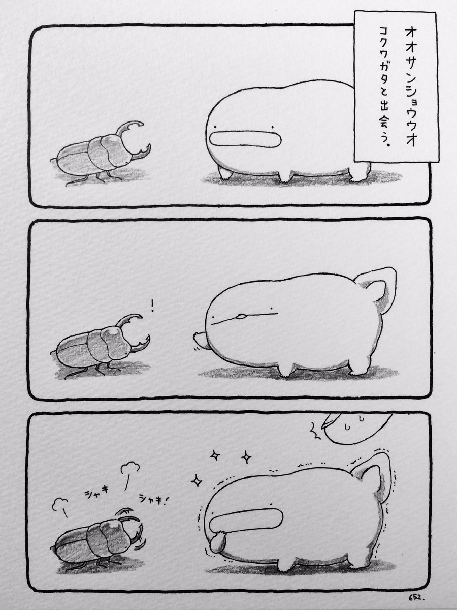オオサンショウウオ、コクワガタと出会う。 