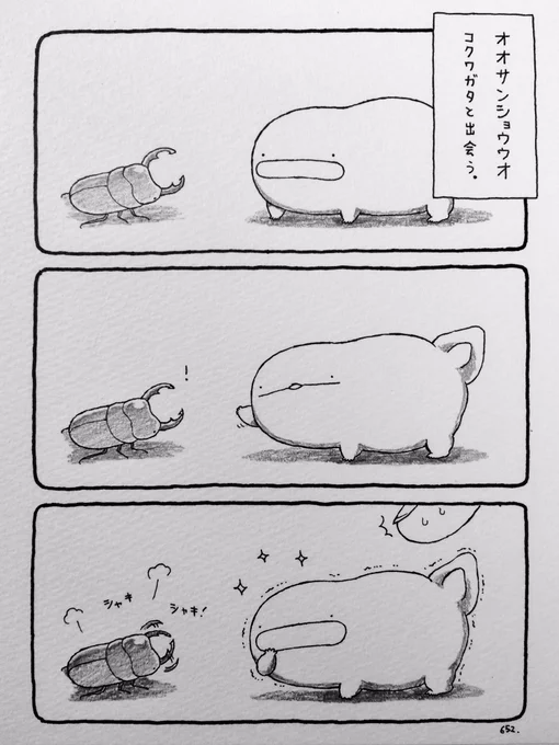 オオサンショウウオ、コクワガタと出会う。 