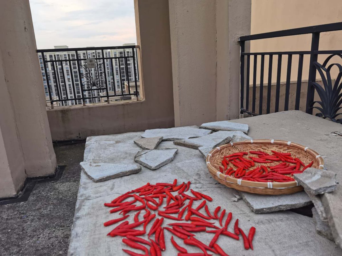 25 — Nearly every building has something on the top, either someone drying clothes, drying pepper, growing plants or keeping a dog (or all of it).