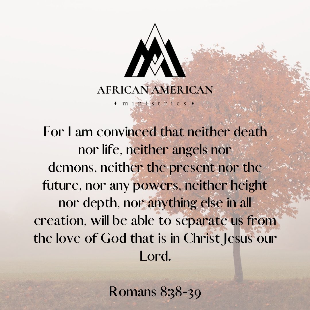 aampca's tweet image. 