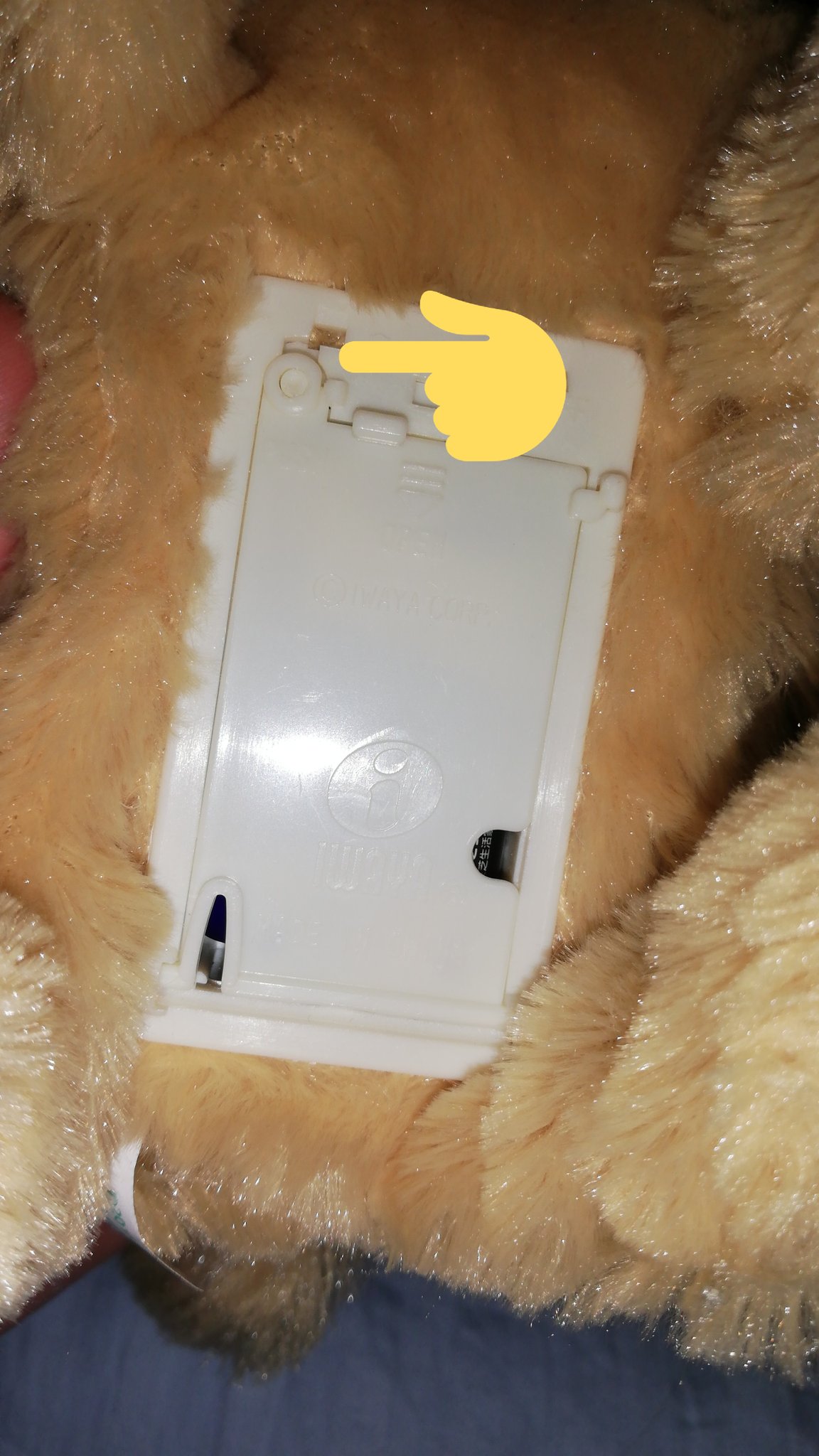 ぴのっぴの 愛葉華緒 九時過ぎてる W 電池交換に一時間 左上の丸いプッシュ部分を押しつつツマミを下へ引くけど動かない プッシュ部分を押しつつ プッシュ外枠の上の隙間 ここをヘアピンでひっかけて 下へ 開いた 覚え書き イワヤ