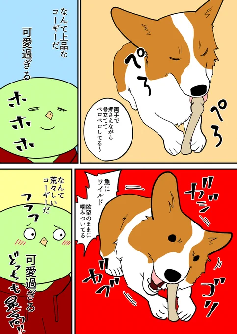 骨を噛むコーギーかわいい 