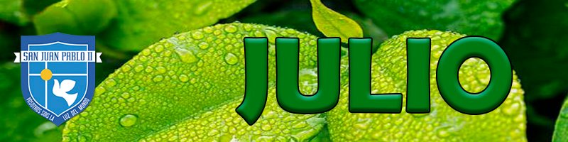 IEIJP2's tweet photo. Boletín Julio - https://t.co/EMfk9YVLto https://t.co/qivzlYlo5G