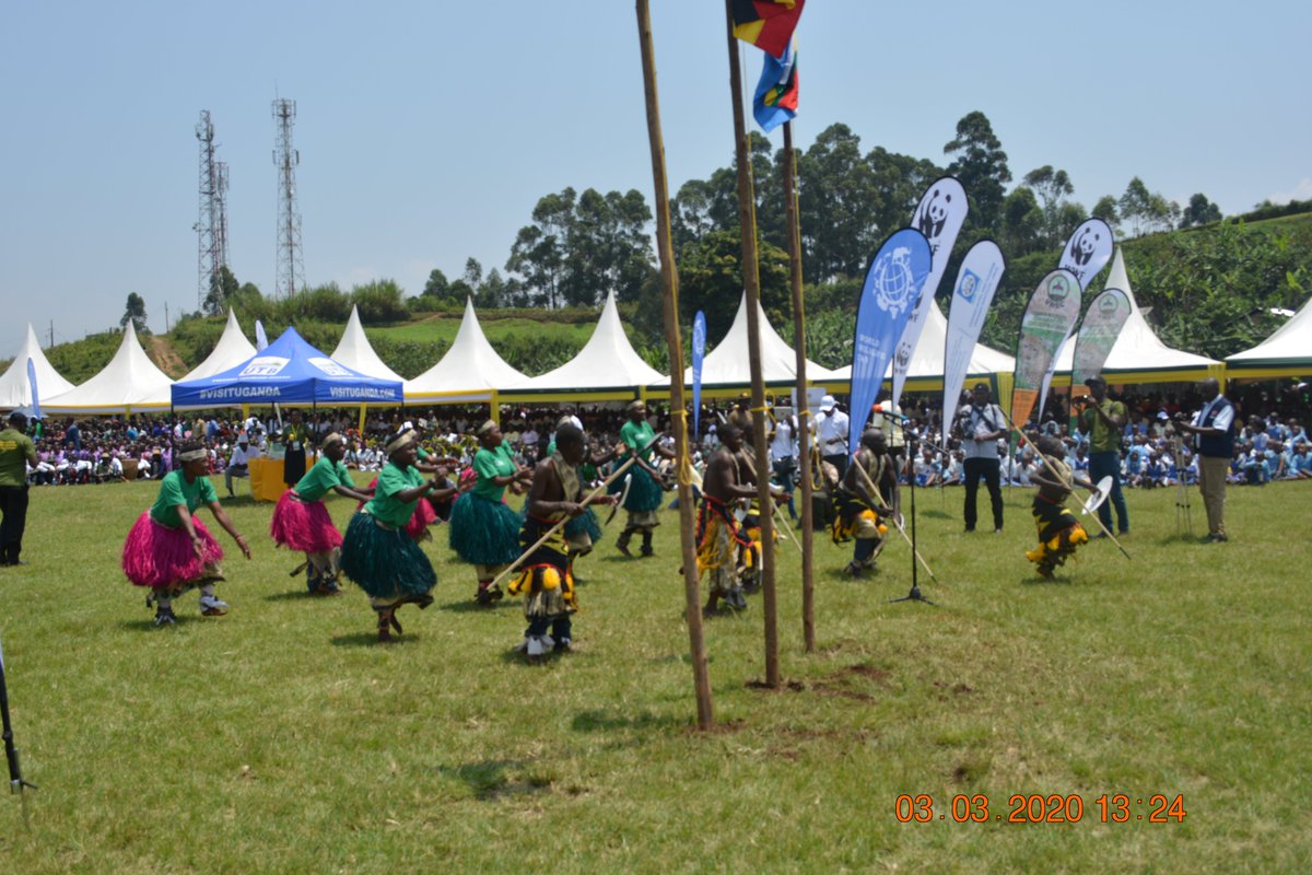 Bwindi Trust tweet media