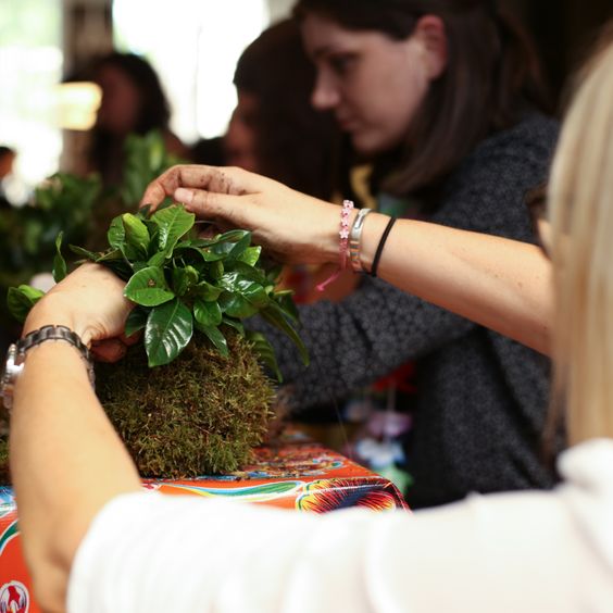 La rentrée approche à grand pas !! Et avec elle le retour des ateliers mains vertes : kokedama, terrarium &amp; fresque végétale, laissez vous tenter pour la Semaine Européenne du Développement Durable du 18 Septembre au 8 Octobre 🌱
Plus d'informations par ici 👉 contact@platan.fr